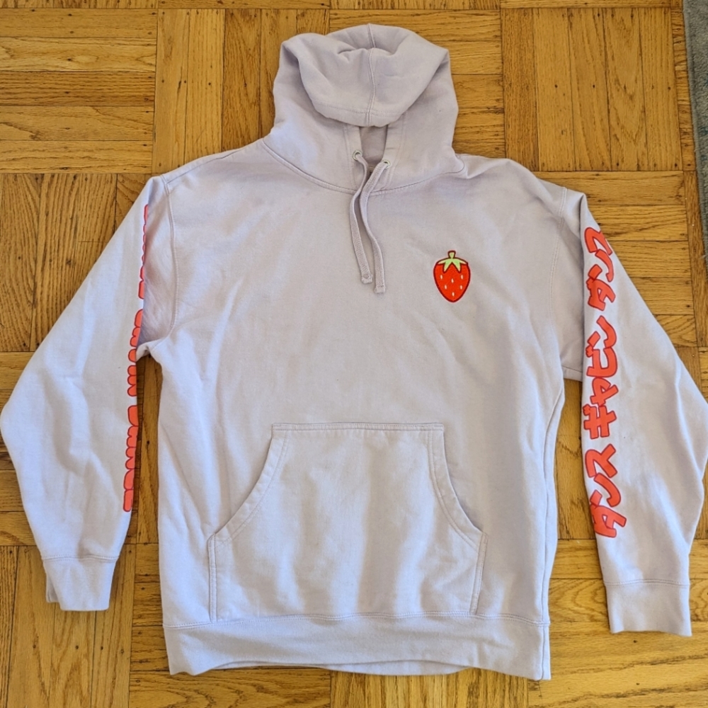 Dance Gavin Dance Embroidered Strawberry 🍓 Hoodie